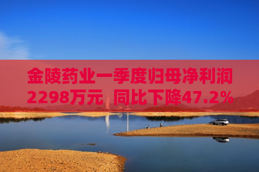 金陵药业一季度归母净利润2298万元  同比下降47.2%