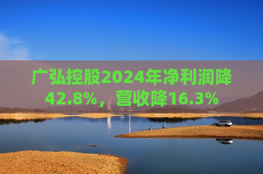广弘控股2024年净利润降42.8%，营收降16.3%