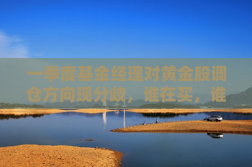 一季度基金经理对黄金股调仓方向现分歧，谁在买，谁在卖？