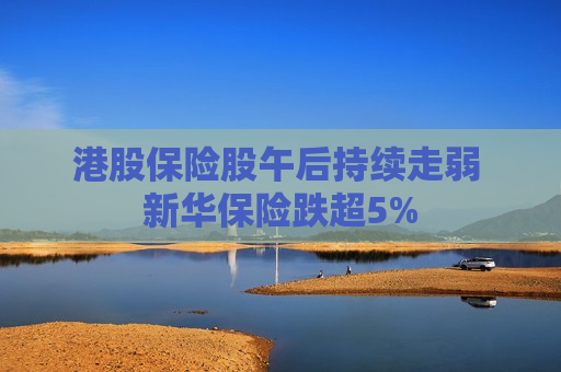 港股保险股午后持续走弱 新华保险跌超5%