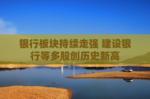 银行板块持续走强 建设银行等多股创历史新高