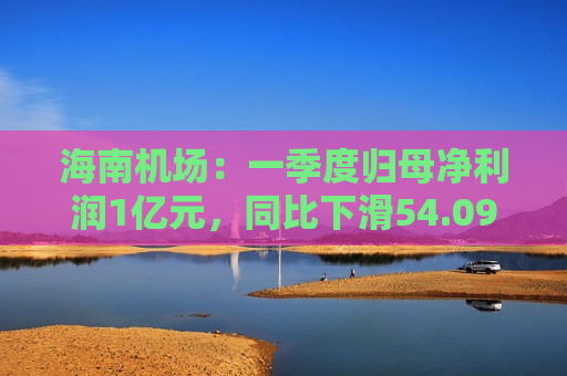 海南机场：一季度归母净利润1亿元，同比下滑54.09%