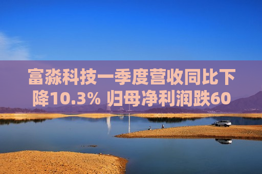 富淼科技一季度营收同比下降10.3% 归母净利润跌60.5%