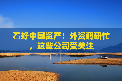 看好中国资产！外资调研忙，这些公司受关注