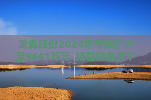 哈森股份2024年亏损扩大至9641万元  经营现金流下滑131.4%