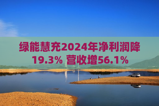 绿能慧充2024年净利润降19.3% 营收增56.1%