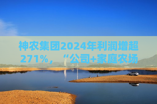 神农集团2024年利润增超271%，“公司+家庭农场”助力乡村振兴