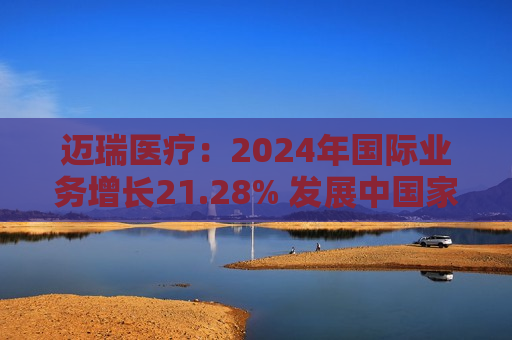 迈瑞医疗：2024年国际业务增长21.28% 发展中国家成重要增长引擎