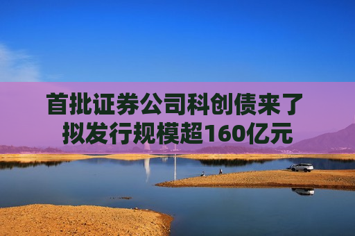 首批证券公司科创债来了 拟发行规模超160亿元