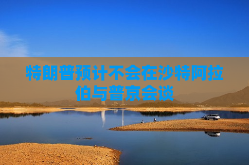 特朗普预计不会在沙特 *** 与普京会谈