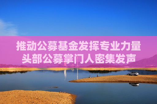 推动公募基金发挥专业力量头部公募掌门人密集发声
