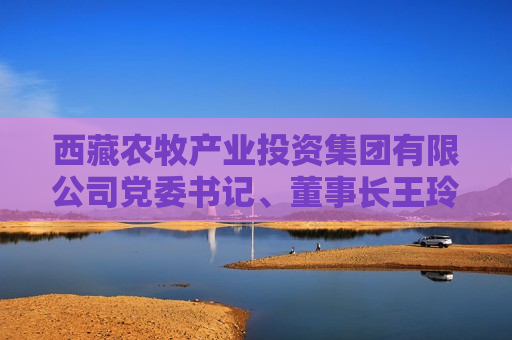  *** 农牧产业投资集团有限公司党委书记、董事长王玲接受纪律审查和监察调查