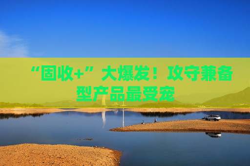 “固收+”大爆发！攻守兼备型产品最受宠