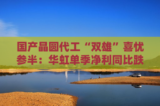 国产晶圆代工“双雄”喜忧参半：华虹单季净利同比跌近9成，中芯国际大涨166.5%