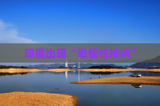 印度出现“恐慌性抢购”