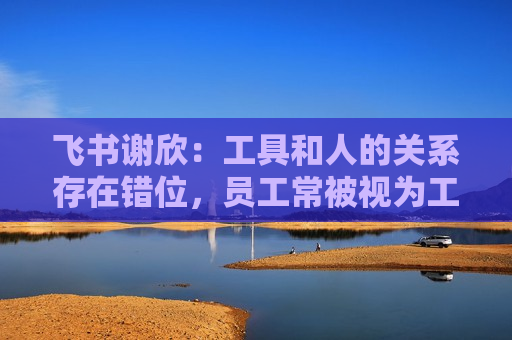 飞书谢欣：工具和人的关系存在错位，员工常被视为工具的附属