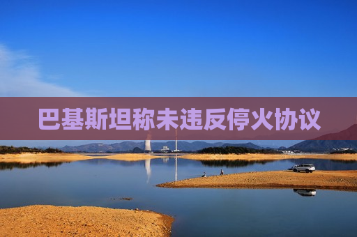 巴基斯坦称未违反停火协议