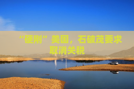 “硬刚”美国，石破茂要求取消关税