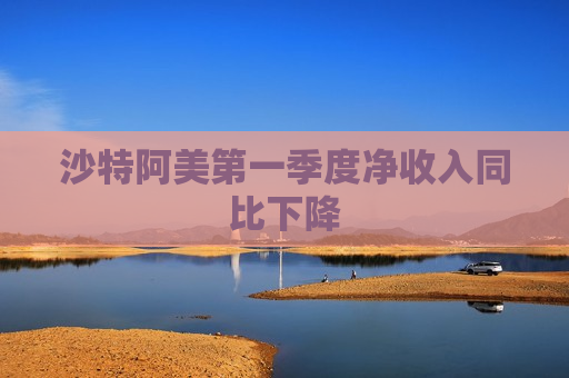 沙特阿美之一季度净收入同比下降