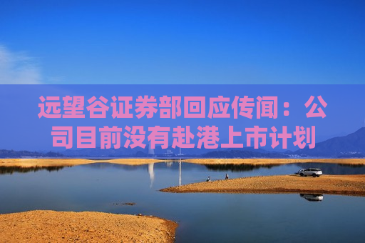 远望谷证券部回应传闻：公司目前没有赴港上市计划