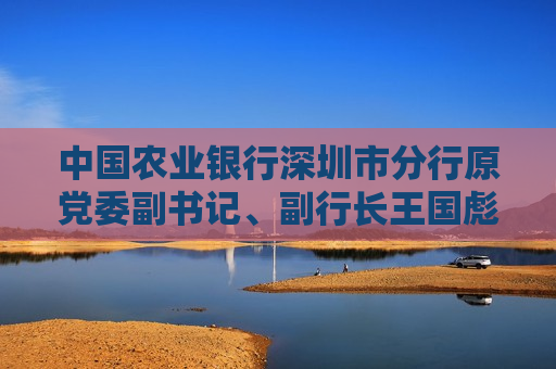 中国农业银行深圳市分行原党委副书记、副行长王国彪接受纪律审查和监察调查