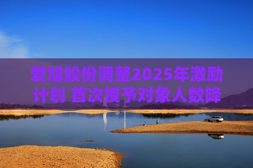 爱旭股份调整2025年激励计划 首次授予对象人数降至232人