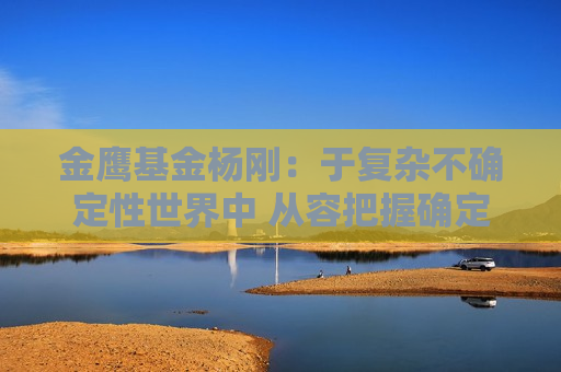 金鹰基金杨刚：于复杂不确定性世界中 从容把握确定性投资机会
