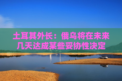 土耳其外长：俄乌将在未来几天达成某些妥协性决定