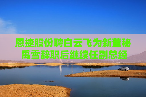 恩捷股份聘白云飞为新董秘 禹雪辞职后继续任副总经理