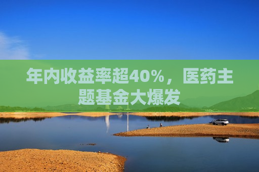 年内收益率超40%，医药主题基金大爆发