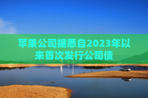 苹果公司据悉自2023年以来首次发行公司债