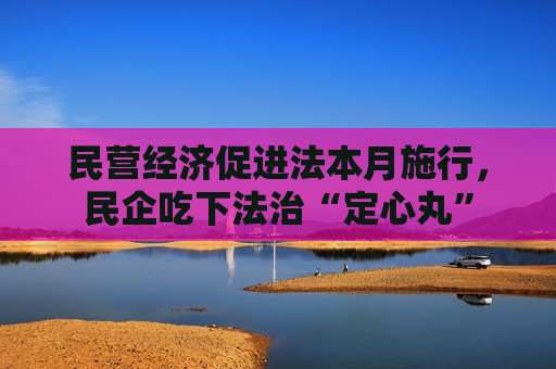 民营经济促进法本月施行，民企吃下法治“定心丸”