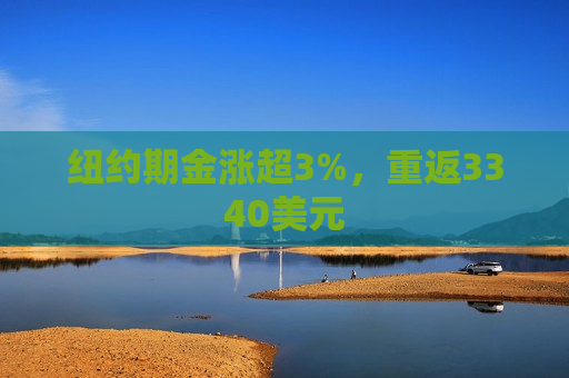 纽约期金涨超3%，重返3340美元