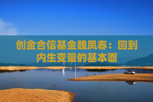 创金合信基金魏凤春：回到内生变量的基本面