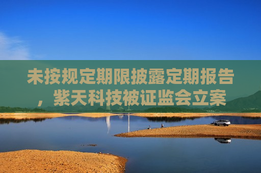 未按规定期限披露定期报告，紫天科技被 *** 立案
