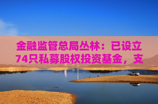 金融监管总局丛林：已设立74只私募股权投资基金，支持投资科技创新企业