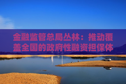 金融监管总局丛林：推动覆盖全国的 *** 性融资担保体系，服务小微企业为主要政策效益指标，担保费率不超过1%