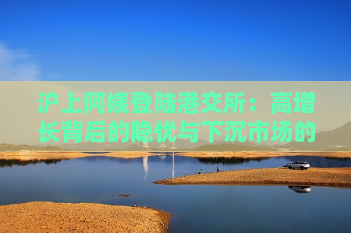 沪上阿姨登陆港交所：高增长背后的隐忧与下沉市场的突围战
