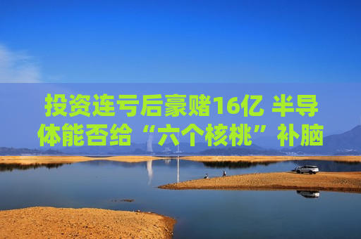 投资连亏后豪赌16亿 半导体能否给“六个核桃”补脑？