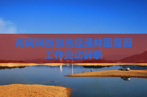 南网科技副总经理林国营因工作变动辞职