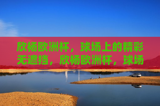 欣杨欧洲杯，球场上的精彩无遮挡，欣杨欧洲杯，球场精彩瞬间无遮挡呈现，欣杨欧洲杯，球场精彩瞬间无遮挡呈现