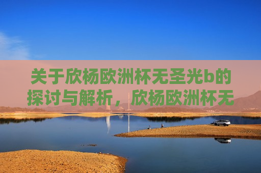 关于欣杨欧洲杯无圣光b的探讨与解析，欣杨欧洲杯无圣光B，解析与探讨，欣杨欧洲杯无圣光B，解析与探讨