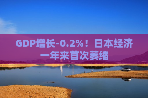 GDP增长-0.2%！日本经济一年来首次萎缩