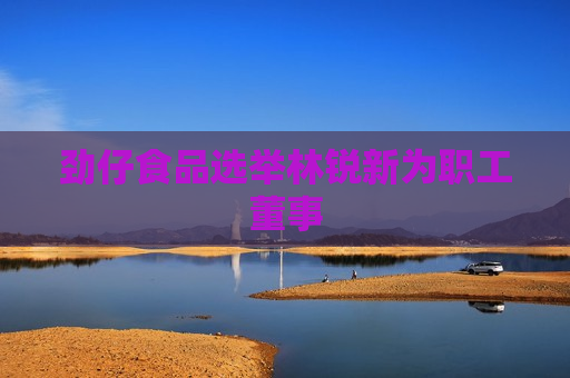 劲仔食品选举林锐新为职工董事  第1张
