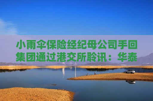 小雨伞保险经纪母公司手回集团通过港交所聆讯：华泰、中金联席保荐 连续两年亏损
