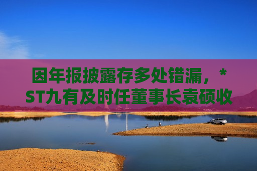因年报披露存多处错漏，*ST九有及时任董事长袁硕收上交所监管警示函