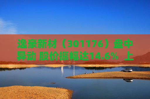 逸豪新材（301176）盘中异动 股价振幅达14.6%  上涨7.3%（06-13） 第1张