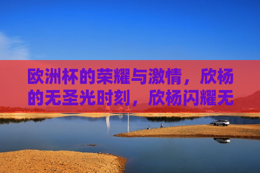欧洲杯的荣耀与 *** ，欣杨的无圣光时刻，欣杨闪耀无圣光时刻，欧洲杯的荣耀与 *** ，欧洲杯荣耀之夜，欣杨闪耀的无圣光时刻