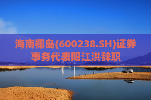 海南椰岛(600238.SH)证券事务代表阳江洪辞职  第1张
