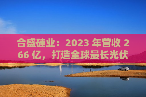 合盛硅业：2023 年营收 266 亿，打造全球最长光伏全产业链